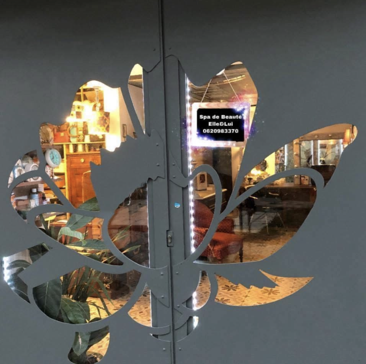 La porte d'entrée de l'institut, motif lotus, reflets de la boutique